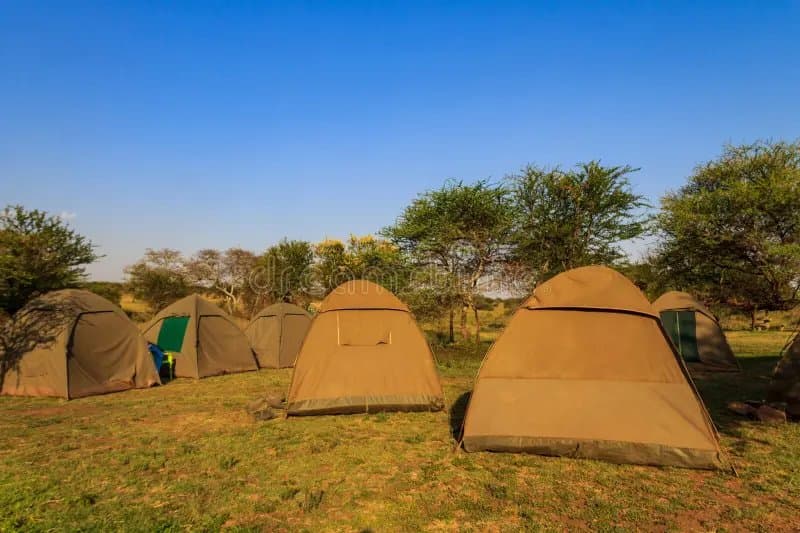 Swara tent at Wadich — safari tents on the savannah at golden hour